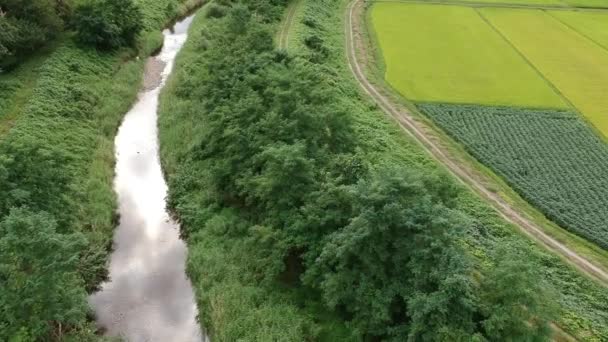 vue aérienne japonais automne riz oreille 