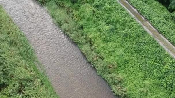 Luftaufnahme Japanische Natur Flusslandschaft Footage Video — Stockvideo