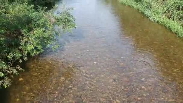 Aerial View Japoński Natura Rzeka Krajobraz Materiały Wideo — Wideo stockowe