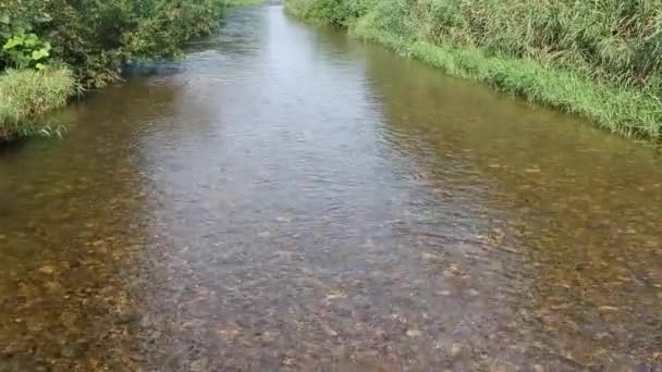 Антена Подання Японська Природи Річки Краєвид Кадри Відео — стокове відео