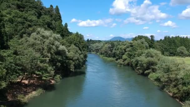Вид Воздуха Прекрасный Природный Пейзаж Голубое Небо Река Горы — стоковое видео