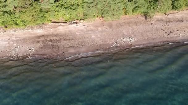 Vista Aérea Lago Japonés Tazawako — Vídeo de stock