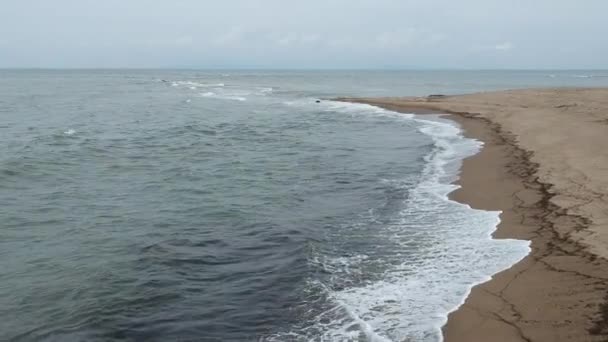 Flygfoto Japanska Sandstrand — Stockvideo