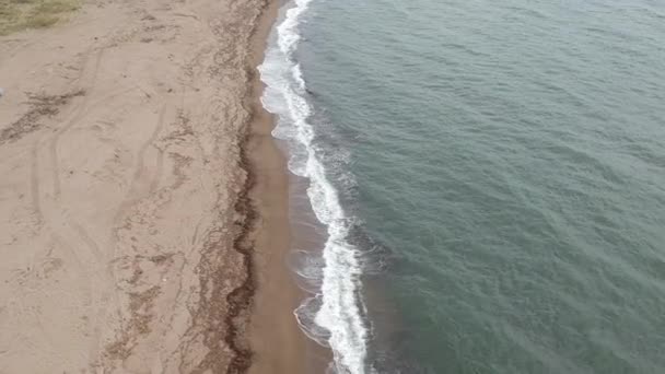 Luftaufnahme Japanischer Sandstrand — Stockvideo