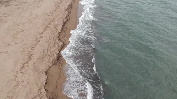 Αεροφωτογραφία Ιαπωνικά Αμμώδη Παραλία — Αρχείο Βίντεο