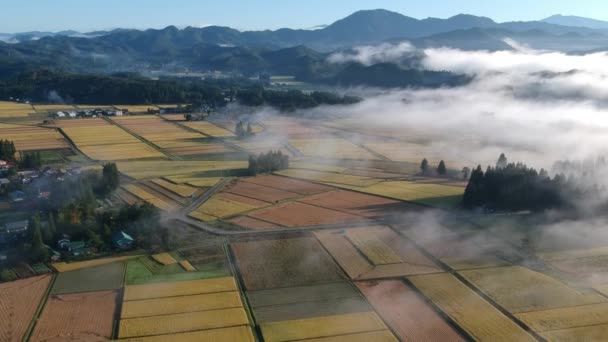 Aerial View Beautiful Morning Foggy Landscape Akita Japan — Stock Video