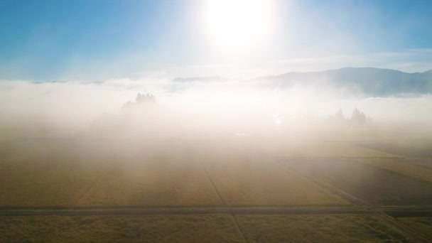 Vista Aérea Hermosa Mañana Niebla Paisaje Akita Japón — Vídeos de Stock