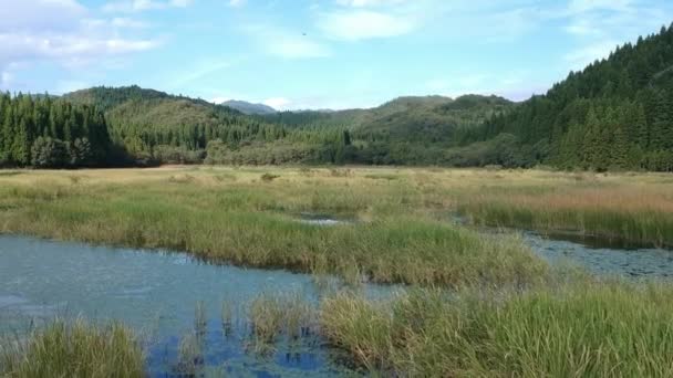 Vista Aérea Hermoso Paisaje Pantano — Vídeos de Stock