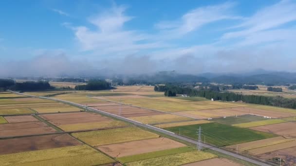 Аерофотозйомка Прекрасний Ранок Болота Акіта Японія — стокове відео