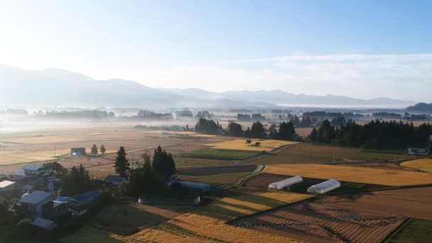 Vista Aérea Japón Campo Paisaje Vídeo — Vídeo de stock