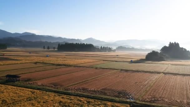 Letecký Pohled Japonsko Podzim Krajina Krajiny Metráž Video — Stock video