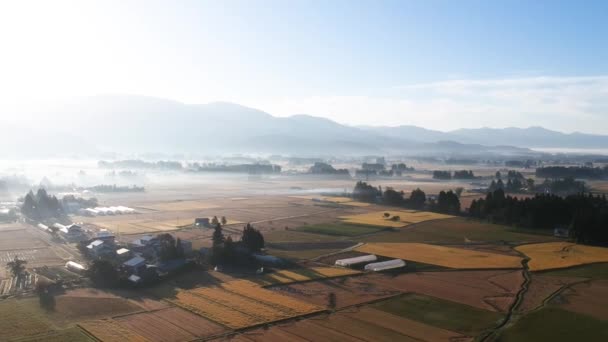 Vista Aérea Japão Outono Campo Paisagem Filmagem Vídeo — Vídeo de Stock