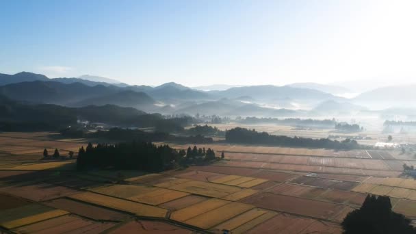 Flygfoto Japan Hösten Landsbygd Landskap Bilder Video — Stockvideo