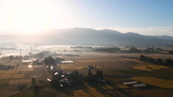 空撮日本秋の田舎の風景映像ビデオ — ストック動画
