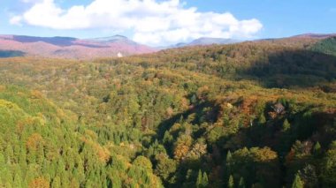 Japonya'da havadan görünümü sonbahar yaprakları