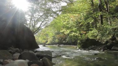 sonbahar yaprakları ve nehir Japonya'da
