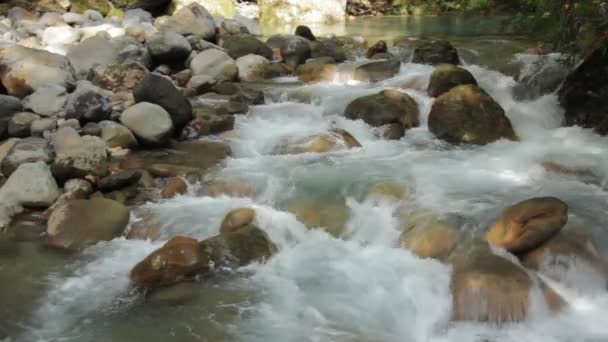 Autumn Leaves River Japan — Stock Video