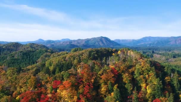 Drone Imagens Cores Outono Japão — Vídeo de Stock