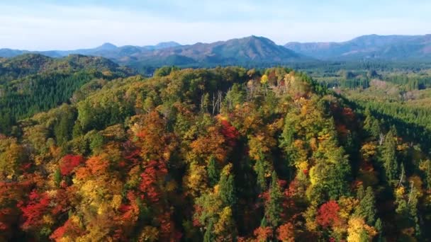 images de drones de couleurs d'automne au Japon 