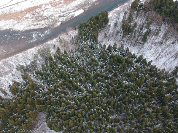 aerial view of winter landscape in japan