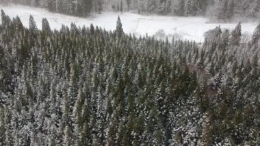 Japonya'da kış manzara havadan görünümü