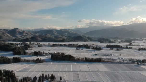 Luchtfoto Van Winterlandschap Japan — Stockvideo