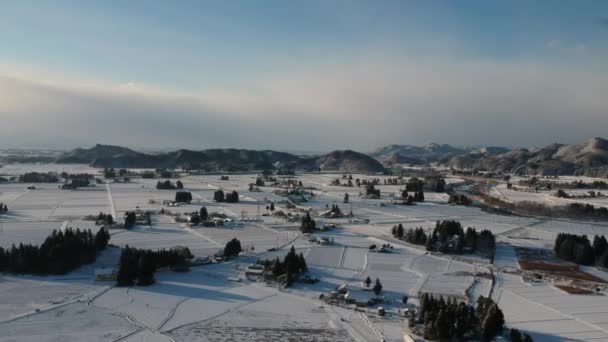 Vista Aerea Del Paesaggio Invernale Giappone — Video Stock