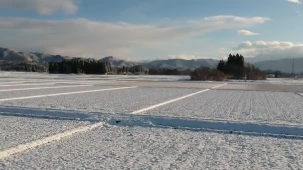 Widok Lotu Ptaka Krajobraz Zima Japonii — Wideo stockowe