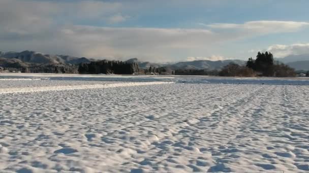 Aerial View Winter Landscape Japan — Stock Video