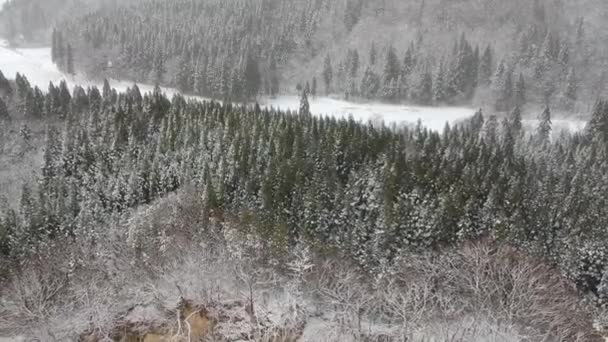 Vue Aérienne Paysage Hivernal Japon — Video