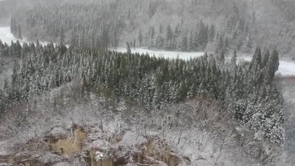 Flygfoto Över Vinterlandskap Japan — Stockvideo