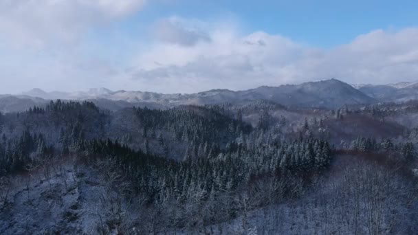 Вид Воздуха Зимний Пейзаж Японии — стоковое видео