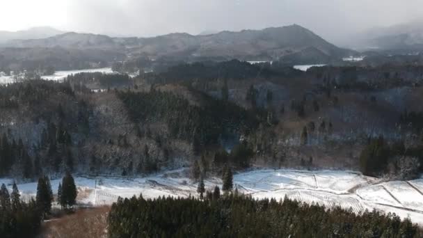 Luchtfoto Van Winterlandschap Japan — Stockvideo