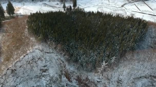 Luchtfoto Van Winterlandschap Japan — Stockvideo