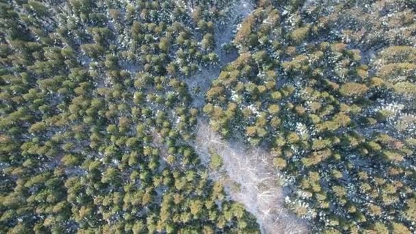 vue aérienne du paysage hivernal au Japon 