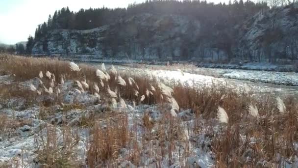 Vista Aerea Del Paesaggio Invernale Giappone — Video Stock