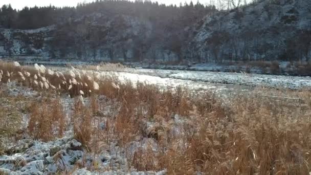 Vista Aérea Del Paisaje Invernal Japón — Vídeo de stock