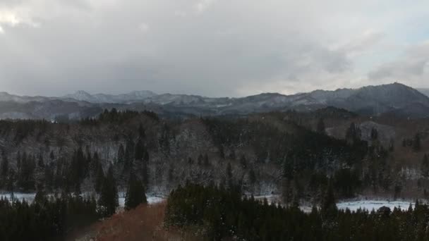 Flygfoto Över Vinterlandskap Japan — Stockvideo