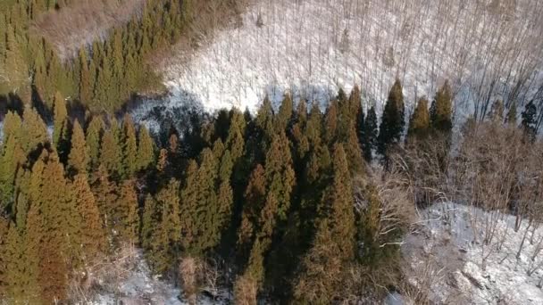 Imagens Aéreas Paisagem Inverno Japão — Vídeo de Stock