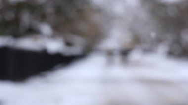 kışın japon samuray ikamet