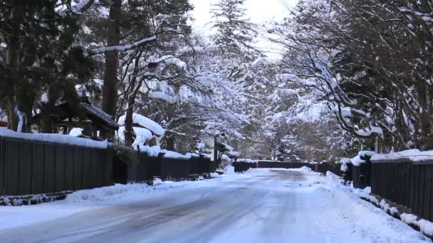 Японський Самурай Резиденції Взимку — стокове відео