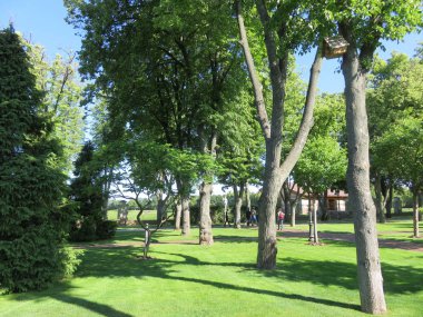 House kuşlarda yaz görünümü güzel bir parkta bir ağaç için