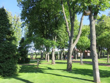 güneşli bir yaz görünümü güzel bir parkta bir ağaçta kuş evi