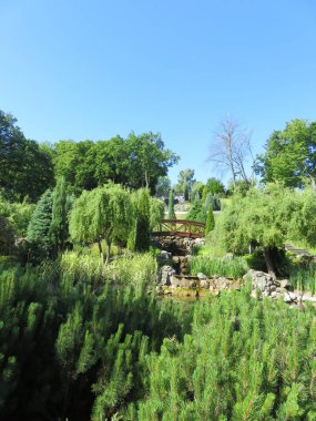 ağaçlar, çalılar ve bir köprü ile bir tepe üzerinde güzel bir park görünümünde güneşli yaz