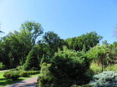 Bir Kiev haritasında güzel bir park görünümünde güneşli yaz