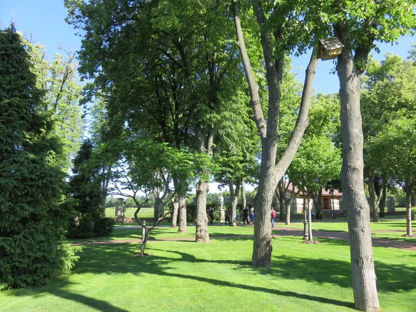 Maison Pour Oiseaux Sur Arbre Dans Beau Parc — Photo