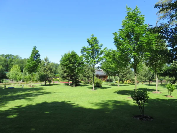 Zomerhuisje Het Grasveld Tussen Bomen Het Stadspark Zonnige Dag — Stockfoto