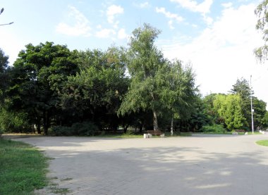 huş ağaçları, banklar, yaz