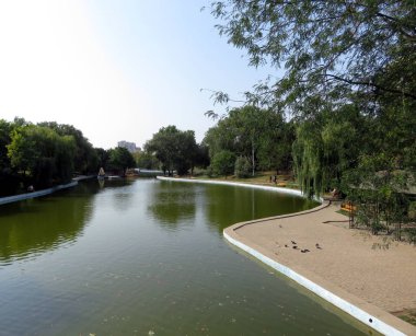 Yaz aylarında park, ağaçlar bir yapay göl yakınındaki görünümü