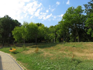 park alanı, yol, tezgah